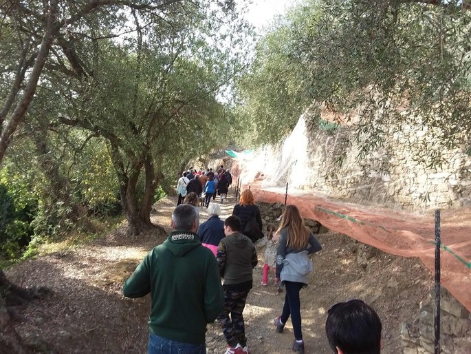 Андора: новый маршрут для «Прогулки среди оливковых деревьев»