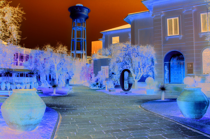 The Olive Tree Museum in Imperia: a 6000-years-old connection with olive oil
