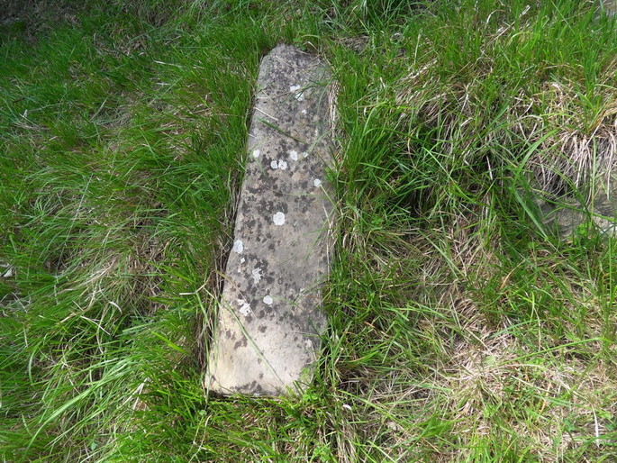 A menhir and a sacrificial altar discovered in the woods of Perinaldo