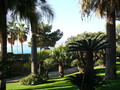Villa Serena, Kredit Methos31