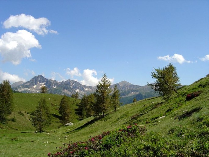 Vallon de Mollières, credit Felix91