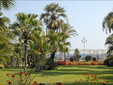 Masséna Nice Garden, credit Flickr upload bot.