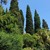 #VillaPergola in #Alassio: summer between the colors and scents of the Riviera.[VIDEO GALLERY]