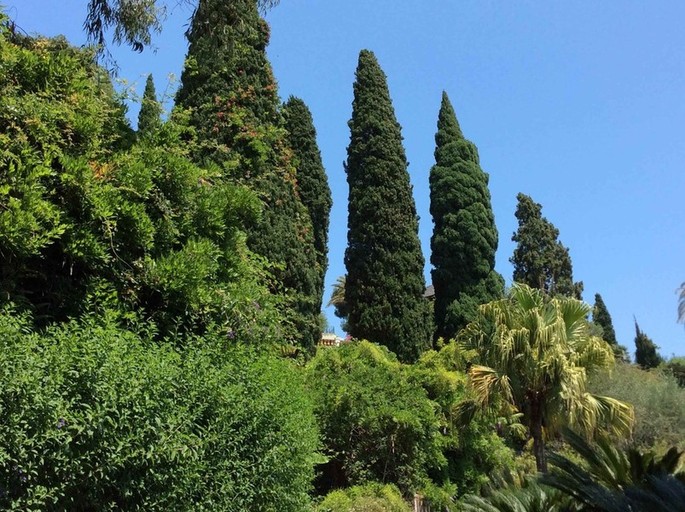 #VillaPergola in #Alassio: Sommer zwischen den Farben und Düften der Riviera.[VIDEOGALERIE]