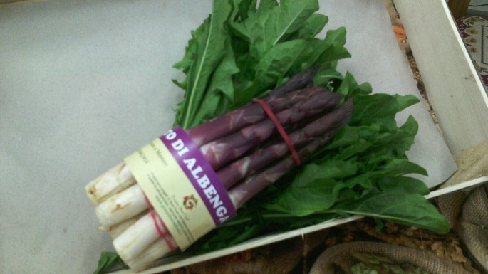 Albenga: those asparagus completely violet