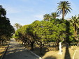 Garden of Carnolès Palace,