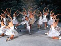 Kredit Teatro Carlo Felice