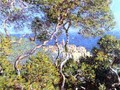 Monet Bordighera