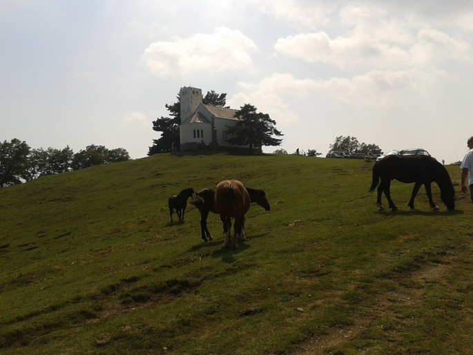 Monte Bignone, credit Aby99