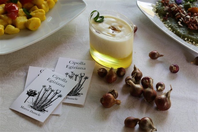 Recipe of the week: Chantilly of panna cotta with Egyptian Ligurian onion and orange caramel