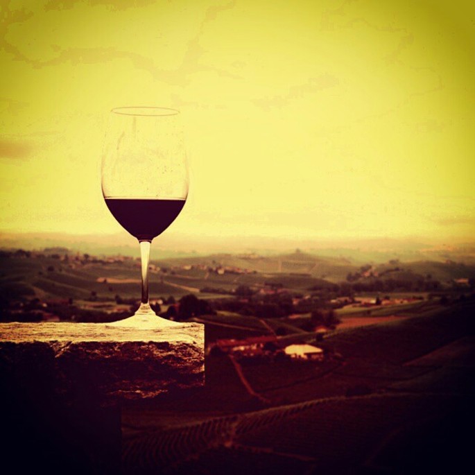 Wine Tasting Experience in Langhe Roero every weekend