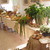 Cucina Bianca: recipes handed down for centuries that tell a story of transhumance and pastoral life