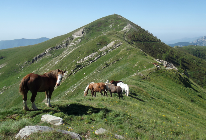 Fronté von Garlenda aus, Kredit Pampuco