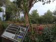 Costarainiera, Novaro Wellness Park