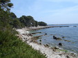 Lerins Ste Marguerite - South coast,credit Guillom