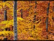 Mercantour,https://www.facebook.com/pages/Parc-national-du-Mercantour-page-officielle/119984576611
