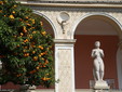Vorgeschichte Museum mit Orangenbaum und Statue, Kredit Alexandra Medwedeff.