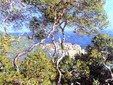 Monet Bordighera, Kredit http://www.bordighera.it/cultura/gli_artisti/monet