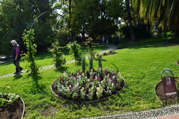 Sanremo hat in Villa Ormond das Blumen Museum eingeweiht [Fotogalerie]