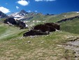 View from Bassa di Narbona, Credits Fulvio Spada