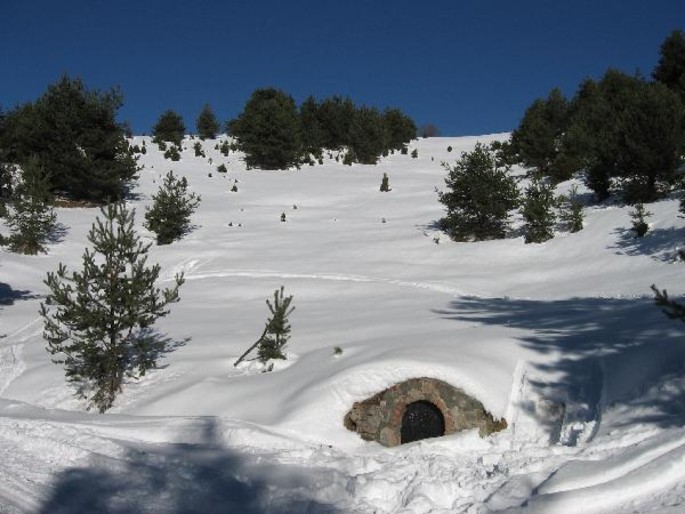 Die Alta Via dei Monti Liguri Wanderungsroute, dritte geographische Zone: #Melogno