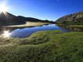 Lake and humid zone Lignin
