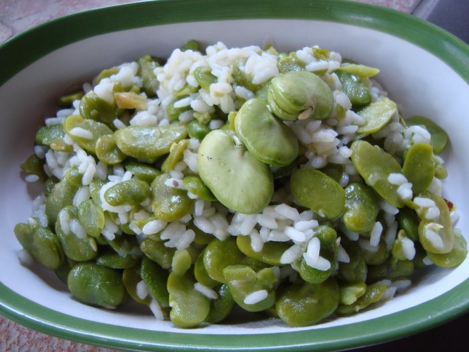 Wochenrezept: Frische Fave (Ackerbohnen) Risotto